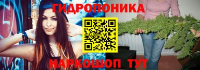 тгк Краснодар