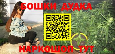 тгк Краснодар