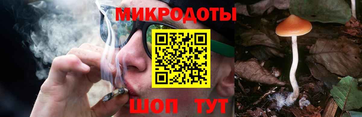 Галлюциногенные грибы MAGIC MUSHROOMS  Вход с VPN  Йошкар-Ола 