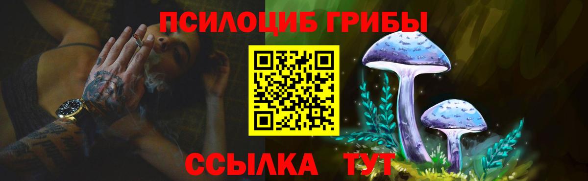 Псилоцибиновые грибы мухоморы Йошкар-Ола